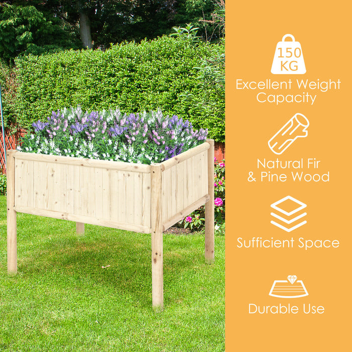 Raised Fir and Pine Wood - High-Quality Garden Planter Box - Perfect for Green Thumbs and Urban Gardening Enthusiasts