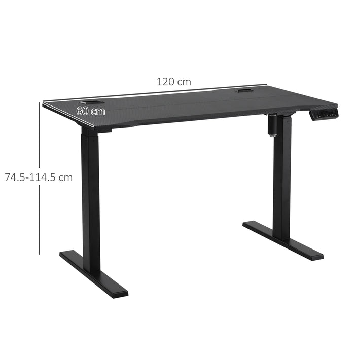 Adjustable Electric Standing Desk - 120cm x 60cm Home/Office Stand Up Desk with Memory Preset - Ergonomic Workspace Solution for Health and Productivity