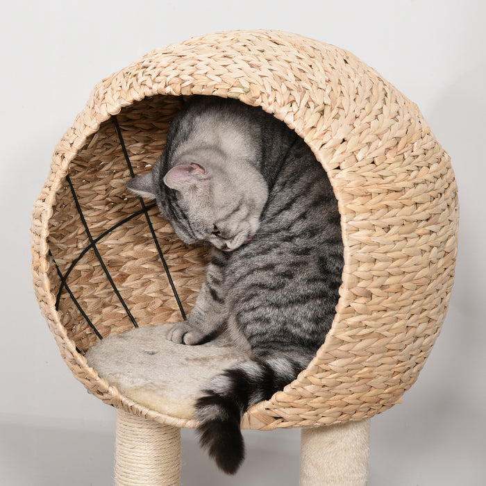 Cat Tower 100cm - Climbing Activity Center with Sisal Scratching Posts, Condo, Perches, and Teasing Toys - Perfect Play Structure for Active Cats