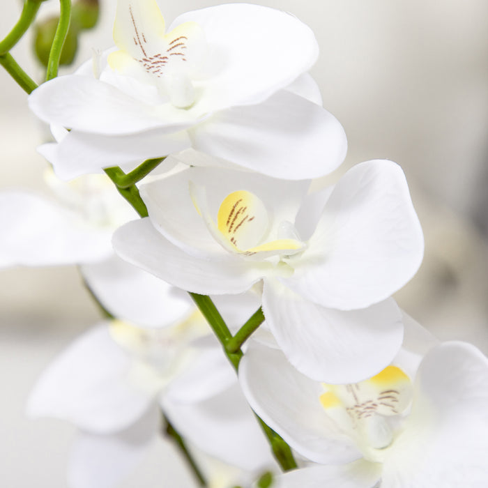 Artificial Phalaenopsis Orchid in White Pot - Lifelike Fake Floral Arrangement with Silk Flowers for Decor - Perfect for Weddings and Home Ambiance