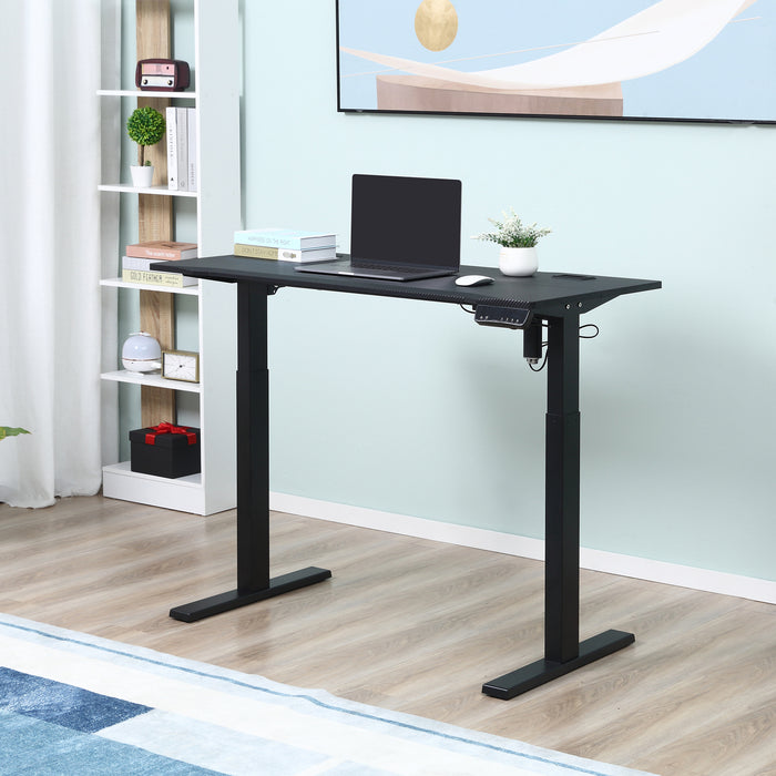 Adjustable Electric Standing Desk - 120cm x 60cm Home/Office Stand Up Desk with Memory Preset - Ergonomic Workspace Solution for Health and Productivity