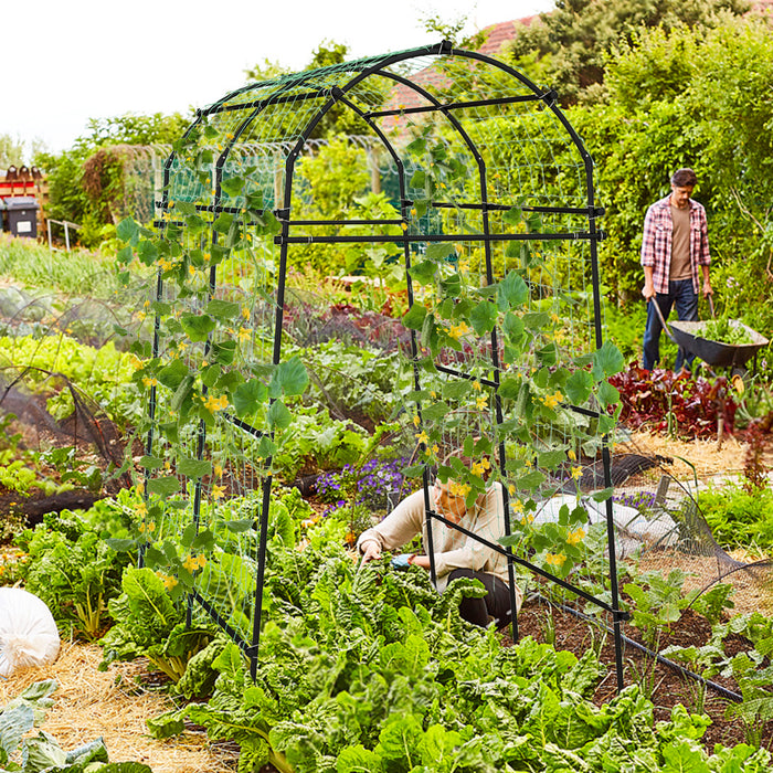 Garden Arch Trellis - PE Coated Metal Structure Suitable for Climbing Plants - Perfect Garden Accessory for Plant Enthusiasts
