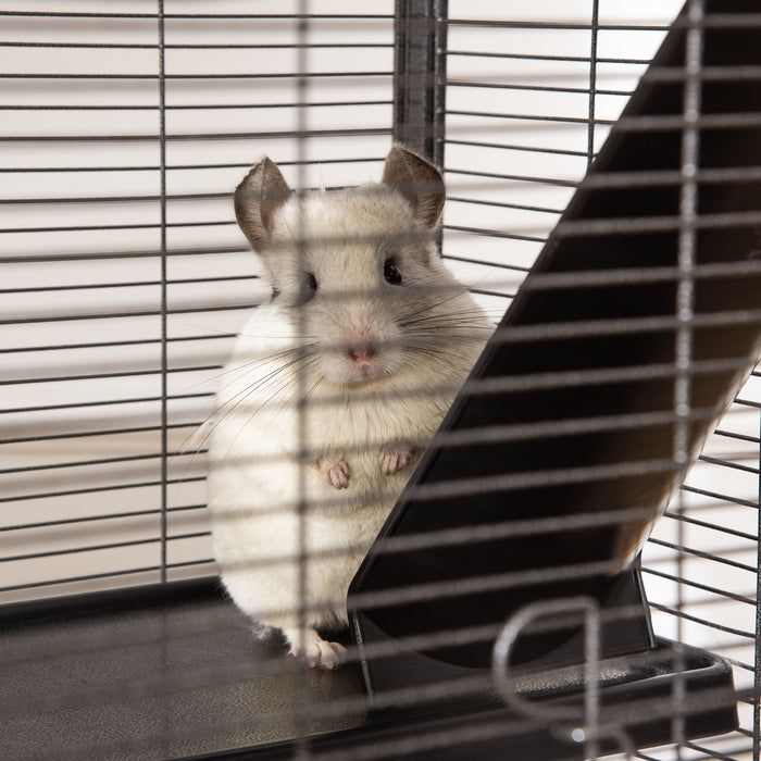 Deluxe Wheeled Small Animal Habitat - Chinchilla, Ferret & Kitten Friendly Cage with Hammock & 4 Platforms - Includes Removable Tray for Easy Cleaning