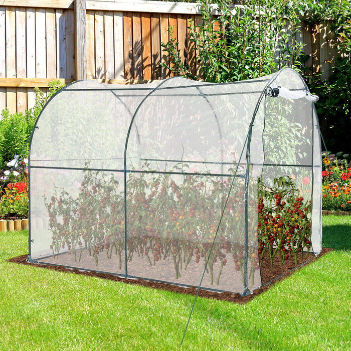 Walk-In Polytunnel Greenhouse - Sturdy Steel Frame with Roll-Up Door and Transparent PVC Cover, 2.5 x 2m - Ideal for Year-Round Gardening and Plant Protection