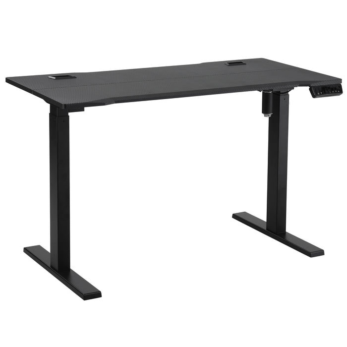 Adjustable Electric Standing Desk - 120cm x 60cm Home/Office Stand Up Desk with Memory Preset - Ergonomic Workspace Solution for Health and Productivity