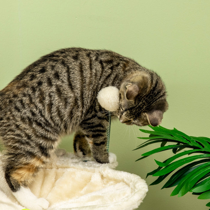 Kitten Play Tower - Beige Cat Tree with Sisal Scratching Posts, Hammock & Ball Toy, 53.5x53.5x90 cm - Ideal Entertainment for Indoor Cats