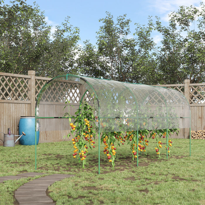 4-Hoop Tunnel Tomato Greenhouse with Top Tap - Pointed Bottom Design with Guy Ropes for Stability - Clear Cover for Optimal Plant Growth Conditions