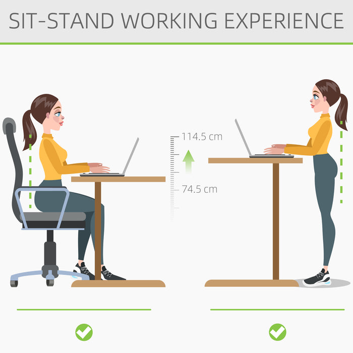 Adjustable Electric Standing Desk - 120cm x 60cm Home/Office Stand Up Desk with Memory Preset - Ergonomic Workspace Solution for Health and Productivity