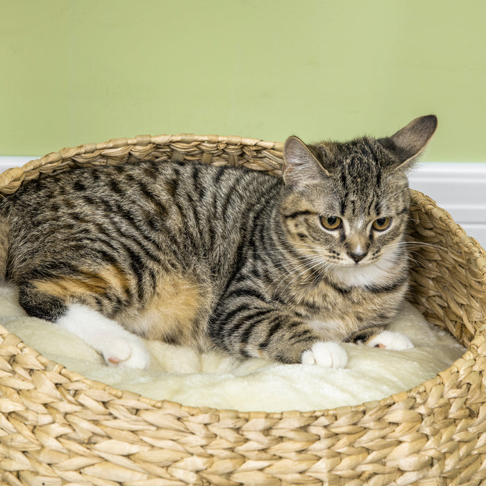 Cat Climbing Tower with Activity Center - 72cm Beige Kitty Play Structure with 2 Plush Beds & Ball Toy, Sisal Scratching Post - Ideal for Playful Cats and Kittens