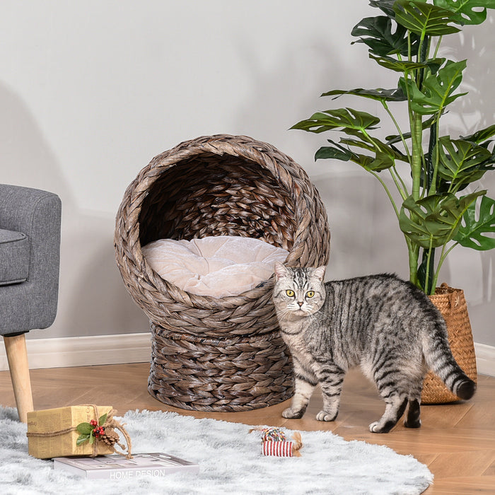 Raised Wicker Cat Bed with Soft Cushion - Rattan Basket Design, Washable & Cozy - Perfect for Cats & Small Pets Comfort & Relaxation