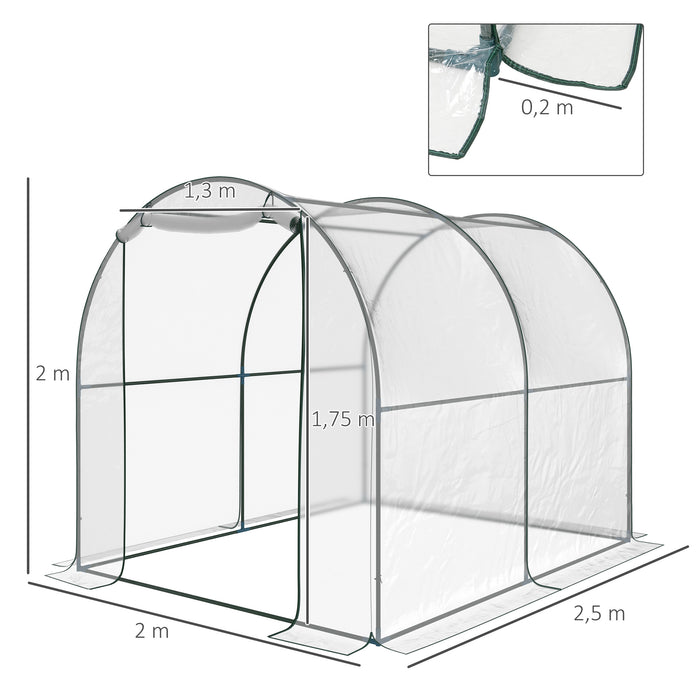 Walk-In Polytunnel Greenhouse - Sturdy Steel Frame with Roll-Up Door and Transparent PVC Cover, 2.5 x 2m - Ideal for Year-Round Gardening and Plant Protection